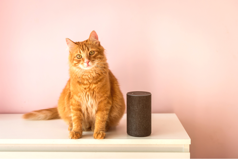 An Uber Pet, Safe in Your Smart Home